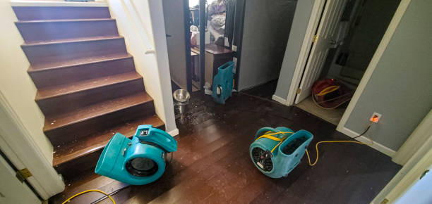 Best Water damage restoration company  in Park River, ND