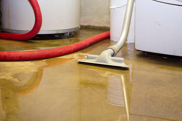 Best Water damage restoration near me  in Park River, ND