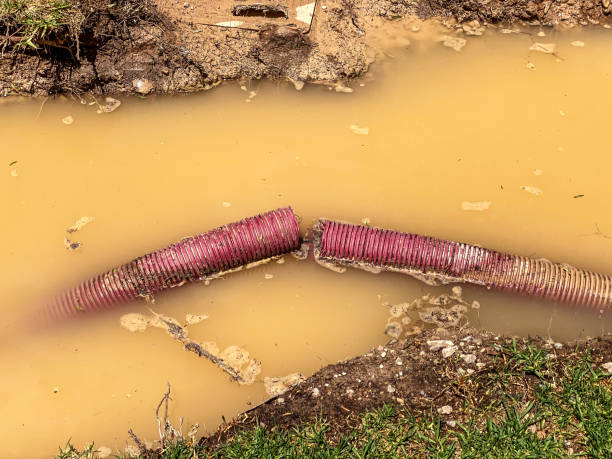 Best Residential water damage restoration  in Park River, ND